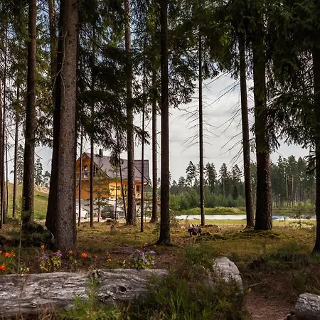 Metsjarve Kampingumajake Puskaru